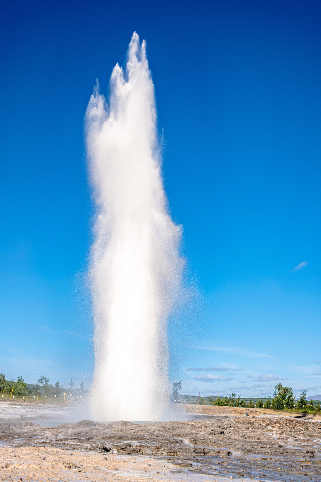Strokkur mid-eruption: a tall white water column against deep blue sky